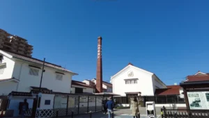 西条 酒造通り散策
