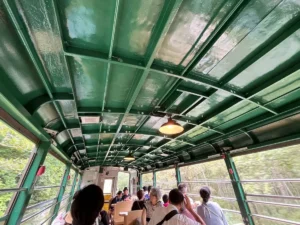 くしろ湿原ノロッコ号で釧路湿原へ