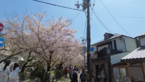 京都 鴨川デルタ → 哲学の道・銀閣寺参道